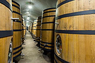 《NBA街头篮球》精神续作《The Run: Got Next》公布 虚幻5打造